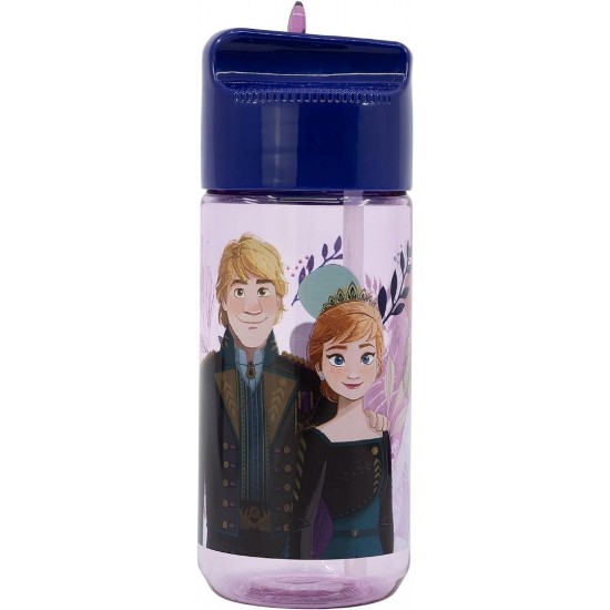 FROZEN Παγούρι 430 ml