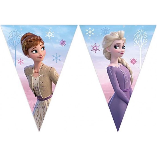 FROZEN ΣΗΜΑΙΑΚΙΑ 