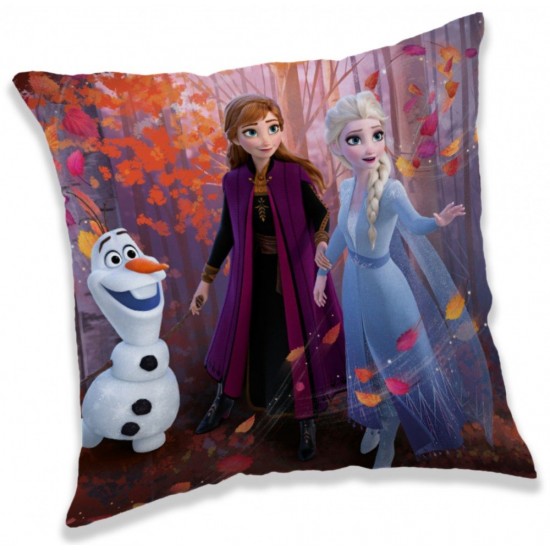 FROZEN ΜΑΞΙΛΑΡΙ