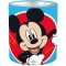 MIckey ΜΟΛΥΒΟΘΗΚΗ ΜΕΤΑΛΛΙΚΗ 10x11