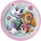 PAW PATROL ΠΙΑΤΑ ΜΕΣΑΙΑ (ΚΟΡΙΤΣΙ)