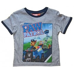 PAW PATROL ΜΠΛΟΥΖΑ ΚΟΝΤΟΜΑΝΙΚΗ (ΓΚΡΙ)