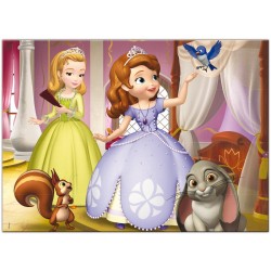 SOFIA MAXI PUZZLE 60pcs  ΧΡΩΜΑΤΙΣΜΟΥ 2 ΟΨΕΩΝ