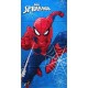 SPIDERMAN ΠΕΤΣΕΤΑ ΘΑΛΑΣΣΑΣ-ΜΠΑΝΙΟΥ 70x140