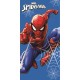 SPIDERMAN ΠΕΤΣΕΤΑ ΘΑΛΑΣΣΑΣ-ΜΠΑΝΙΟΥ 70x140